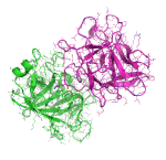 Protein-Protein Interaction