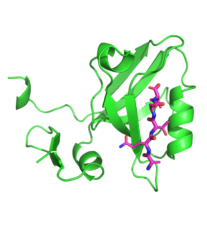 1be9_pdb